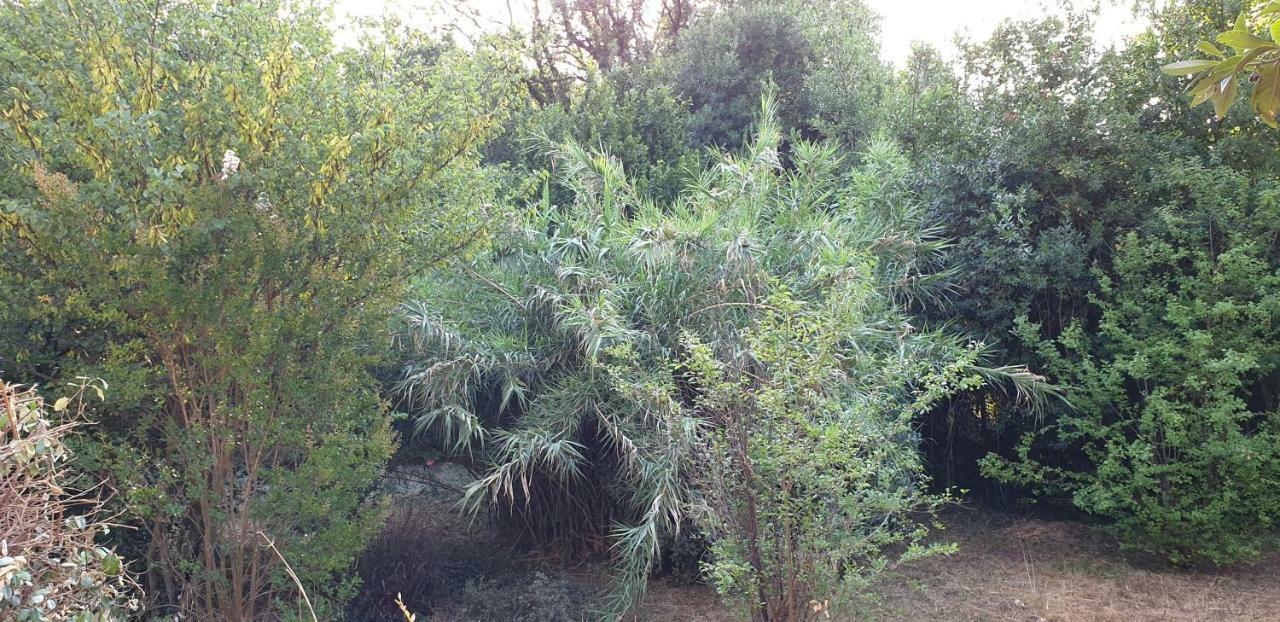 Willa La Teze Le Castellet  Zewnętrze zdjęcie