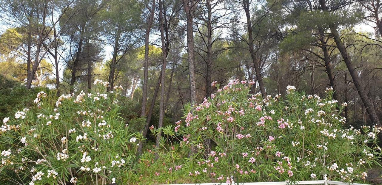 Willa La Teze Le Castellet  Zewnętrze zdjęcie
